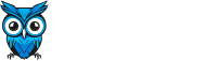 OWL.I Logo